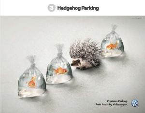 Hedgehog parking creative ad