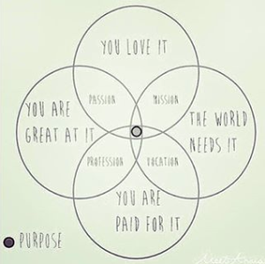 Passion mission vocation purpose